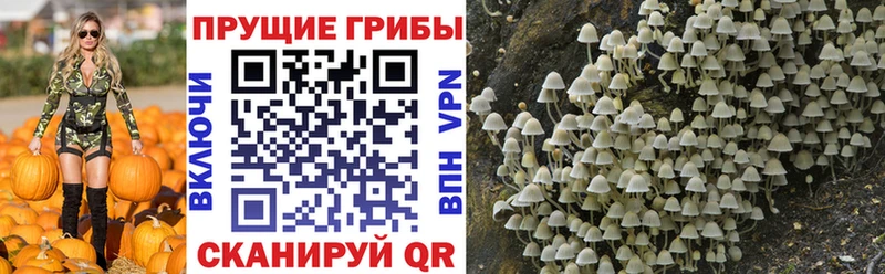 Галлюциногенные грибы GOLDEN TEACHER Алупка