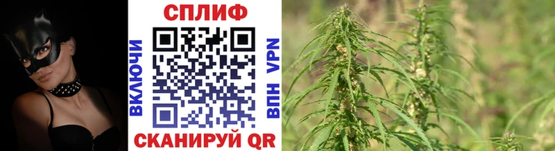 кракен зеркало сколько стоит Алупка Марихуана индика